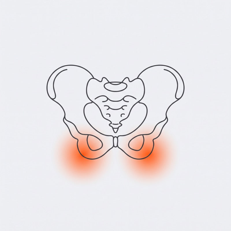 Sit bone pressure points on the pelvis
